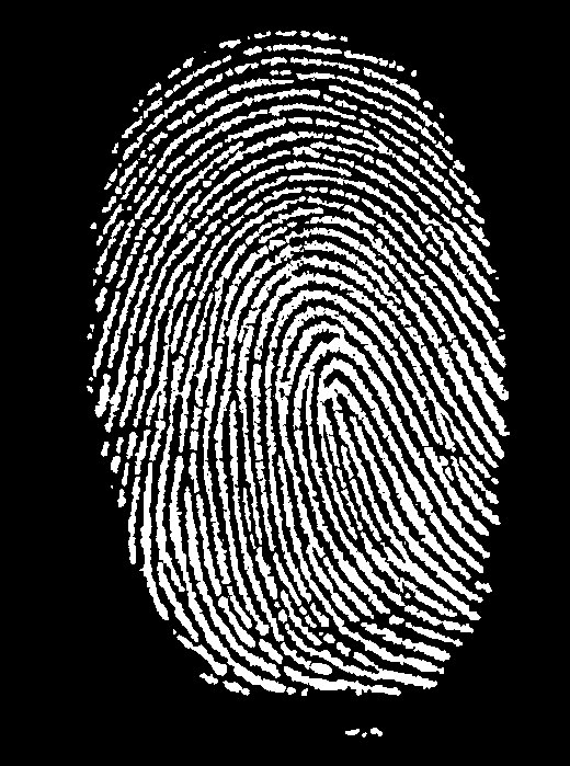 fingerprint_invert